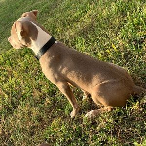 Meet your Posher, Cj